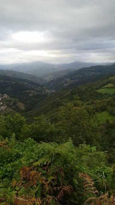 Encanto Asturiano Альер Экстерьер фото